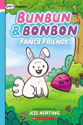 bokomslag Fancy Friends: A Graphix Chapters Book (Bunbun & Bonbon #1)