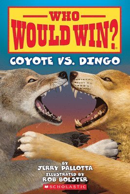 Who Would Win?: Coyote vs. Dingo 1