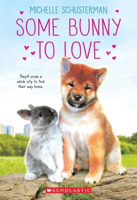 Michelle Schusterman - Some Bunny to Love, Häftad