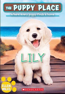 bokomslag Lily (the Puppy Place #61)