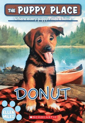 Ellen Miles - Donut (The Puppy Place #63), Häftad