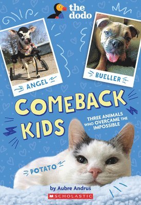 Comeback Kids: Three Animals Who Overcame The Impossible (The Dodo) 1