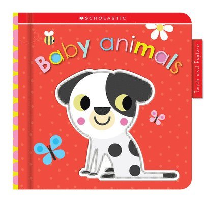 Animal Babies: Scholastic Early Learners (Touch And Explore) 1