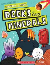 bokomslag Animated Science: Rocks and Minerals