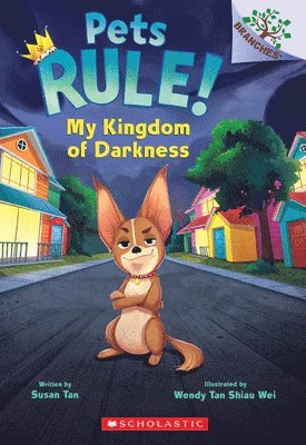 Susan Tan - My Kingdom of Darkness: A Branches Book (Pets Rule! #1), Häftad