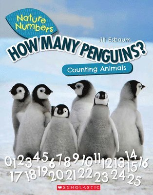 How Many Penguins?: Counting Animals (Nature Numbers) 1