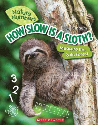 bokomslag How Slow Is a Sloth?: Measure the Rainforest (Nature Numbers)