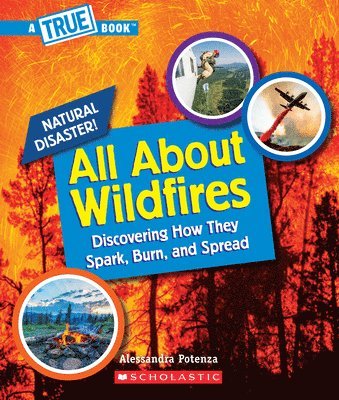 All About Wildfires (A True Book: Natural Disasters) 1