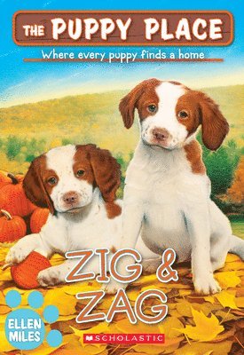 Zig & Zag (The Puppy Place #64) 1