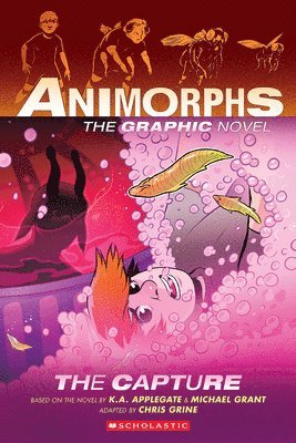 bokomslag The Capture (Animorphs Graphix #6)
