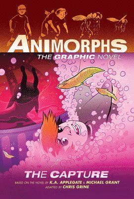 bokomslag The Capture (Animorphs Graphix #6)