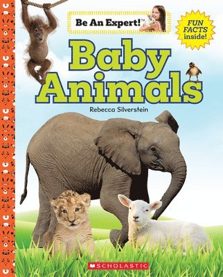 Rebecca Silverstein - Baby Animals, Inbunden