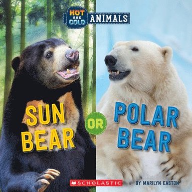 bokomslag Sun Bear Or Polar Bear (Wild World: Hot And Cold Animals)