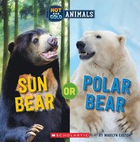 bokomslag Sun Bear Or Polar Bear (Wild World: Hot And Cold Animals)
