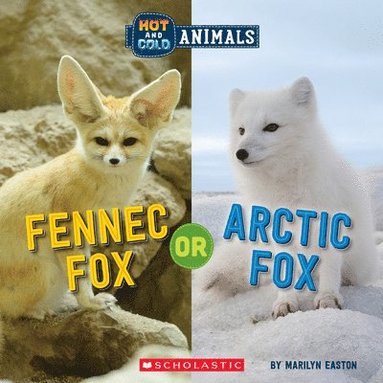 bokomslag Fennec Fox or Arctic Fox (Wild World: Hot and Cold Animals)