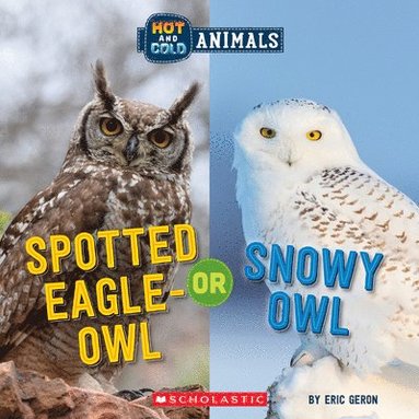 bokomslag Spotted Eagle-Owl or Snowy Owl (Wild World: Hot and Cold Animals)