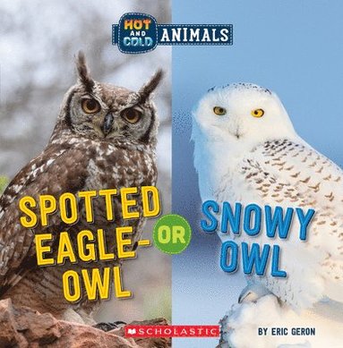 bokomslag Spotted Eagle-Owl or Snowy Owl (Wild World: Hot and Cold Animals)