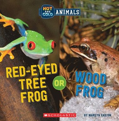 bokomslag Red-Eyed Tree Frog or Wood Frog (Wild World: Hot and Cold Animals)
