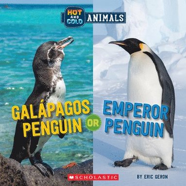 bokomslag Galapagos Penguin or Emperor Penguin (Wild World: Hot and Cold Animals)