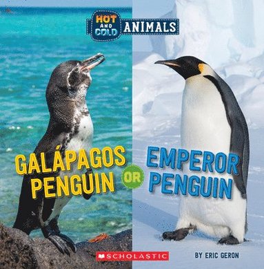 bokomslag Galapagos Penguin or Emperor Penguin (Wild World: Hot and Cold Animals)
