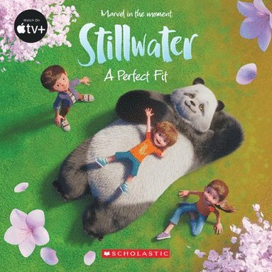 bokomslag Stillwater: A Perfect Fit