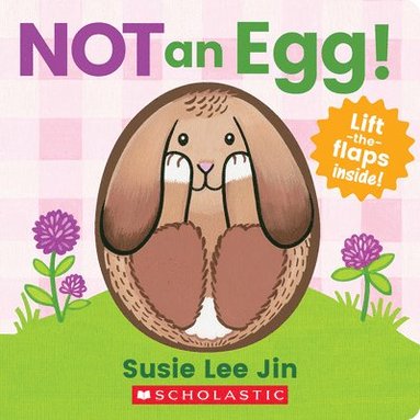 bokomslag Not an Egg! (a Lift-The-Flap Book)