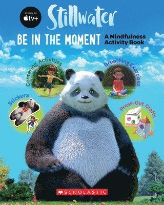 bokomslag Stillwater Activity Book
