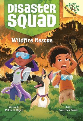 Wildfire Rescue: A Branches Book (Disaster Squad #1) 1