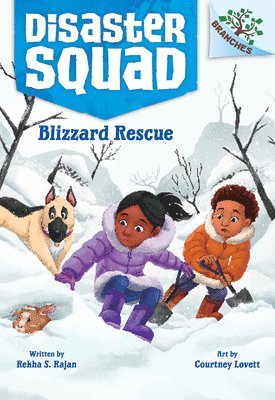 Blizzard Rescue: A Branches Book (Disaster Squad #3) 1