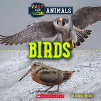 bokomslag Birds (Wild World: Fast And Slow Animals)