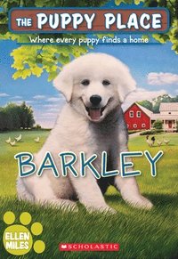 bokomslag Barkley (The Puppy Place #66)