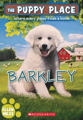 bokomslag Barkley (the Puppy Place #66)