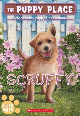 Ellen Miles - Scruffy (the Puppy Place #67), Häftad