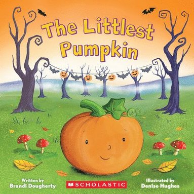 bokomslag The Littlest Pumpkin