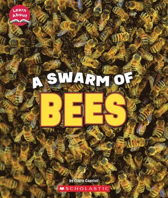 bokomslag Swarm Of Bees (Learn About: Animals)