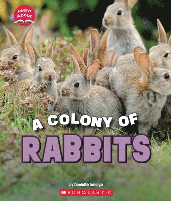 bokomslag A Colony of Rabbits (Learn About: Animals)