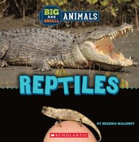 bokomslag Reptiles (Wild World: Big and Small Animals)