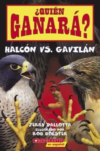 bokomslag Quien Ganara? Halcon Vs. Gavilan (Who Will Win? Falcon Vs. Hawk)