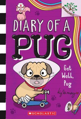 Kyla May - Get Well, Pug: A Branches Book (Diary of a Pug #12), Häftad