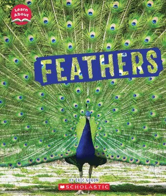 Feathers (Learn About: Animal Coverings) 1
