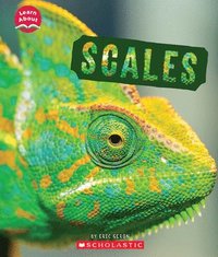 bokomslag Scales (Learn About: Animal Coverings)