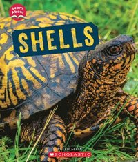 bokomslag Shells (Learn About: Animal Coverings)