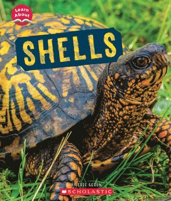 bokomslag Shells (Learn About: Animal Coverings)