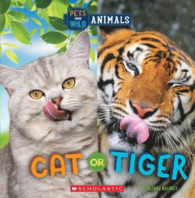 Cat or Tiger (Wild World: Pets and Wild Animals) 1