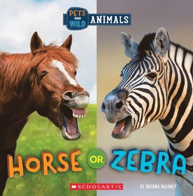 bokomslag Horse or Zebra (Wild World: Pets and Wild Animals)