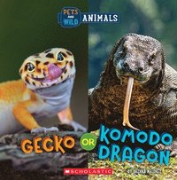 bokomslag Gecko or Komodo Dragon (Wild World: Pets and Wild Animals)