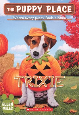 Trixie (the Puppy Place #69) 1