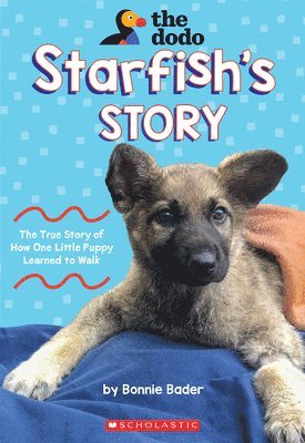 Starfish's Story (the Dodo) 1