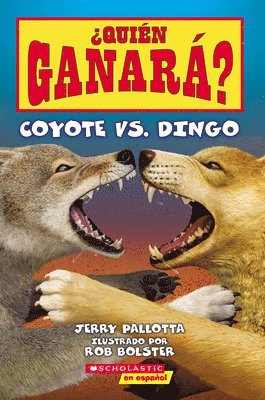 ¿Quién Ganará? Coyote vs. Dingo (Who Would Win? Coyote vs. Dingo) 1