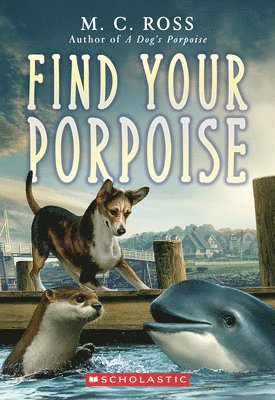 bokomslag Find Your Porpoise